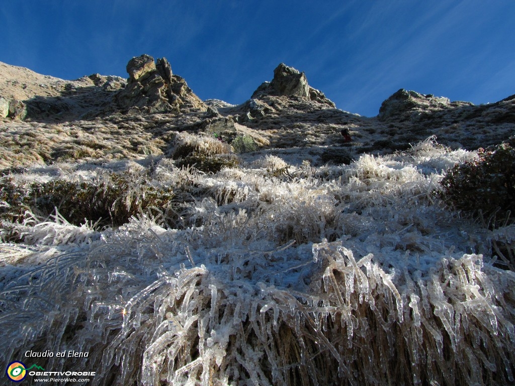 08 Sembra di essere in Alaska.JPG